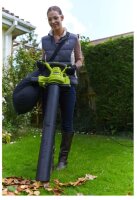 Ryobi RBV3000CSV 3000 W Elektro-Laubsauger