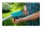 Gardena TCS 20/18V Akku-Teleskop-Hochentaster Ready-To-Use Set inkl. Akku 18 V