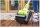Ryobi RAY816 Universal-Walzenb&uuml;rste Ersatzb&uuml;rste  f&uuml;r Oberfl&auml;chenreiniger