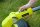 Ryobi RLT183220S Akku-Rasentrimmer Trimmer ONE+ 18 V inkl. Akku und Ladeger&auml;t