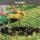 Scheppach EB2000 Benzin-Erdbohrer 2-Takt 1450W inkl. 100, 150, 200 mm Bohrer