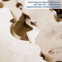 Scheppach HBS25 Bands&auml;ge Schnitth&ouml;he 80mm mit Querschneidlehre und Schiebestock