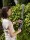 Gardena EasyCut Li Akku-Heckenschere inkl. Akku und Ladeger&auml;t 9836-20