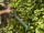 Gardena EasyCut Li Akku-Heckenschere inkl. Akku und Ladeger&auml;t 9836-20