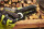 Ryobi RY18PSX10A-120 Baumschneider Akku-Kettens&auml;ge 18V 1.63kg mit Schiene 10cm