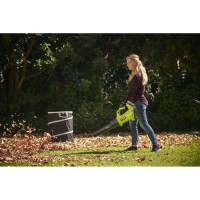 Ryobi RAC368 Gartensack 150L Faltbar Laubsack M&uuml;llsack Gartenabfallsack