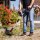 Gomag GO-RT300 Akku-Rasentrimmer Trimmer 20V 30cm Schnittbreite SOLO