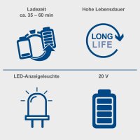 Scheppach SBP2.0 Originalakku Ersatzakku Akku 20V 2,0Ah...